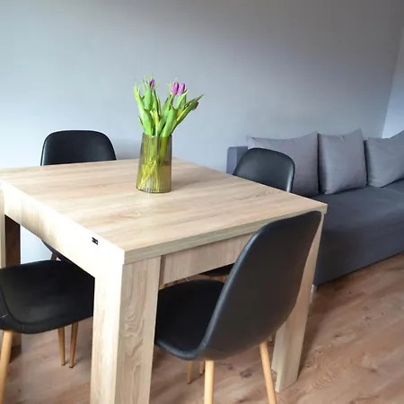 Viola Appartement Szklarska Poreba