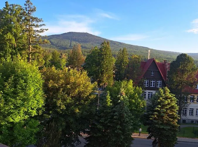 Viola * Schreiberhau