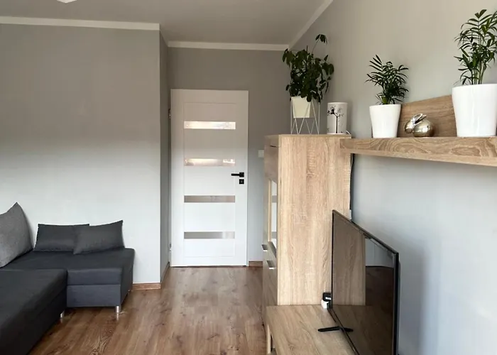 Viola * Schreiberhau