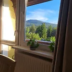 Viola Апартаменты