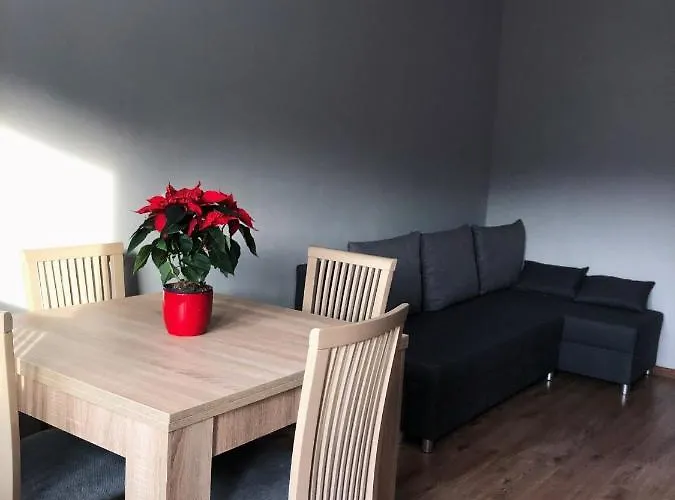 Viola * 斯克拉斯卡波伦巴