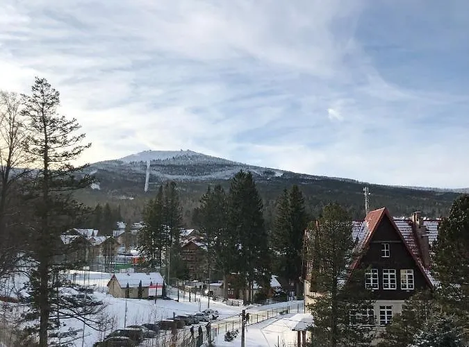 Viola * 斯克拉斯卡波伦巴